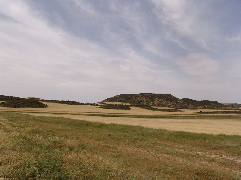 DSC04353.JPG
