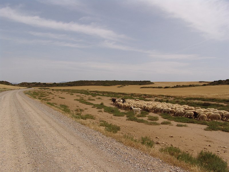 DSC04361.JPG