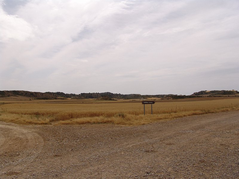 DSC04368.JPG
