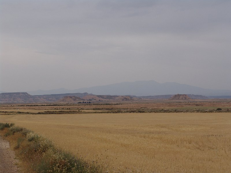DSC04395.JPG