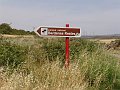 DSC04342