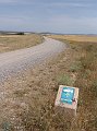 DSC04351