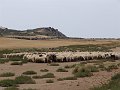DSC04356