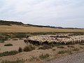 DSC04358