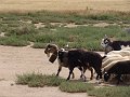DSC04359