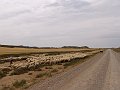 DSC04360