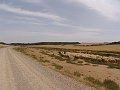 DSC04361