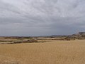 DSC04371