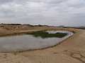 DSC04377
