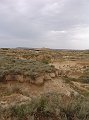 DSC04380