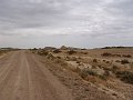 DSC04384