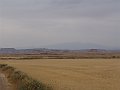 DSC04395