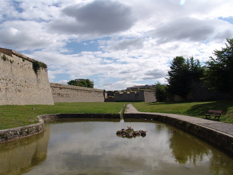 DSC02462.JPG