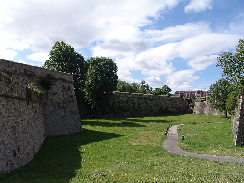 DSC02479.JPG