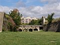DSC02465