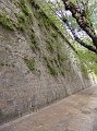 DSC02480