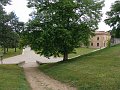 DSC02500