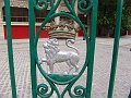 DSC02527
