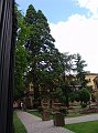 DSC02614
